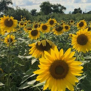 Meet your Posher, Madeline